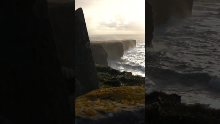 Exploring IRELAND!!! #freeridekingdoms #freeride #courtintheact #watersport #actionsport